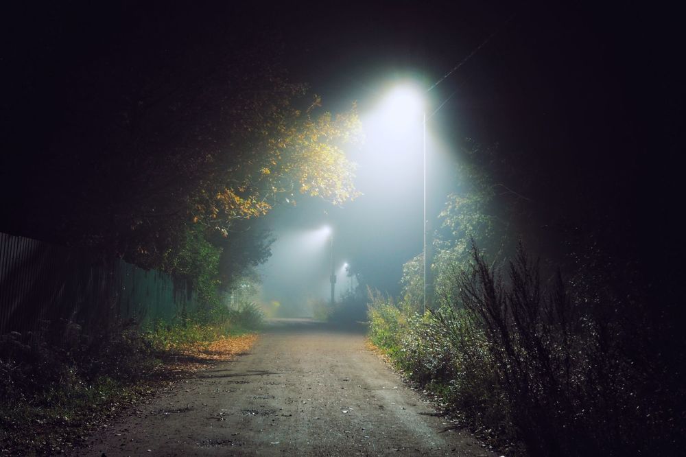 Photograph by Дмитрий Шамин