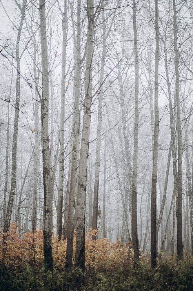 Photograph by Наталья Чернавина