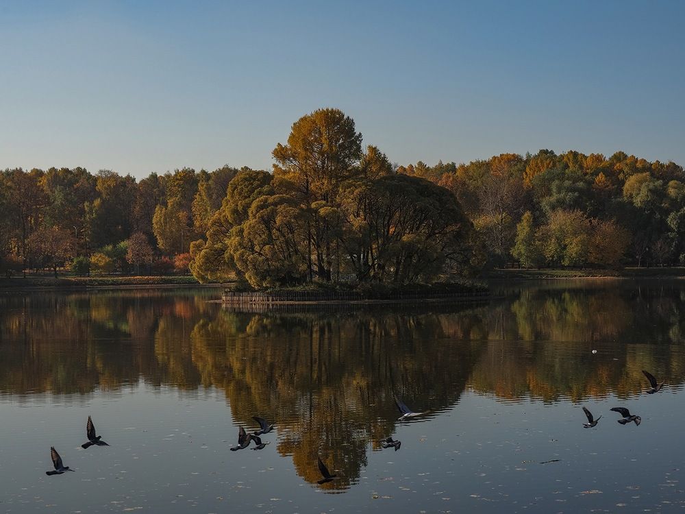 усадьба Царицыно