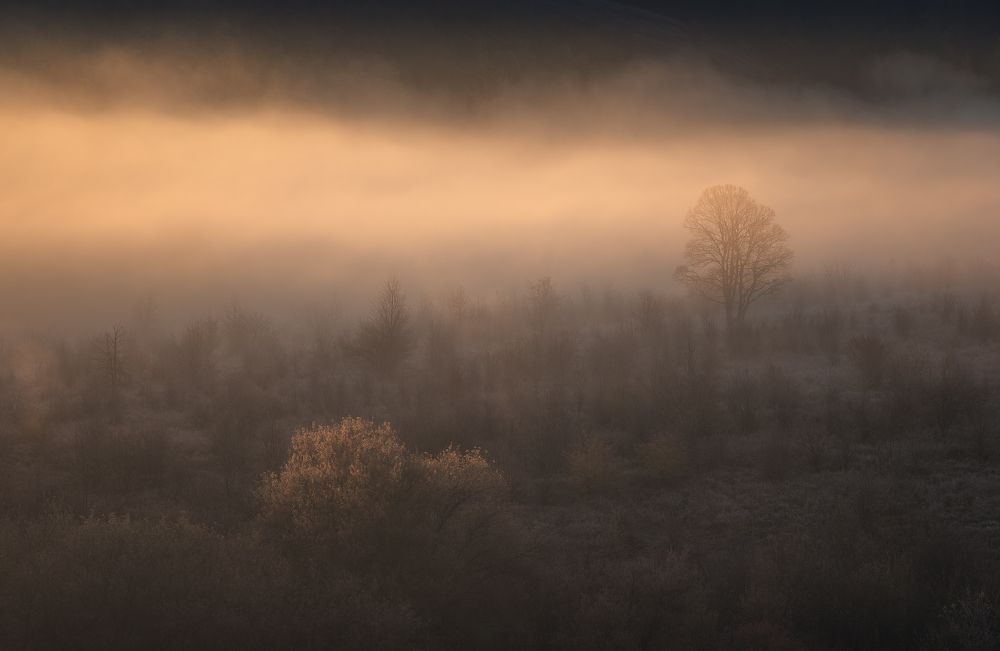 Photograph by Виталий Левыкин