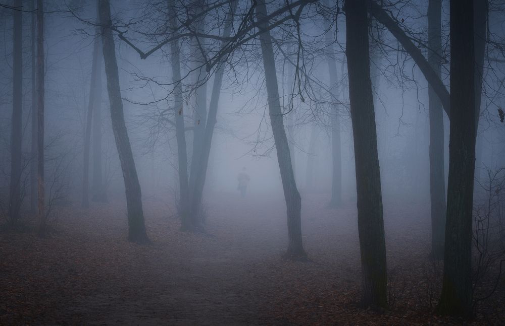 Photograph by Виталий Левыкин