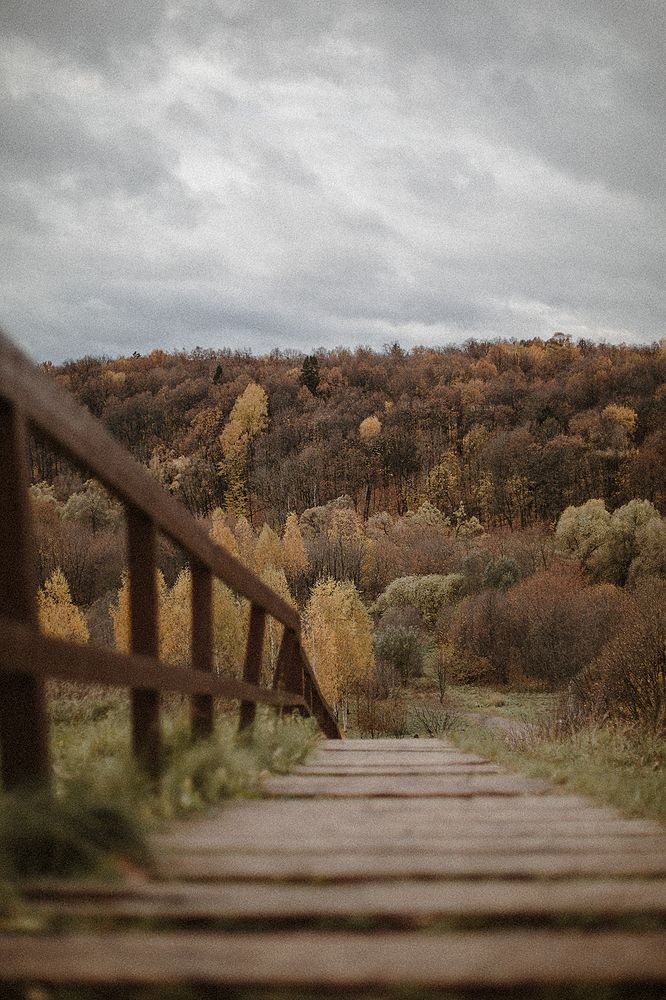 Photograph by Наталья Чернавина