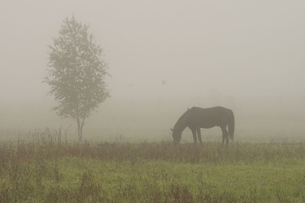 Photograph by Валерий