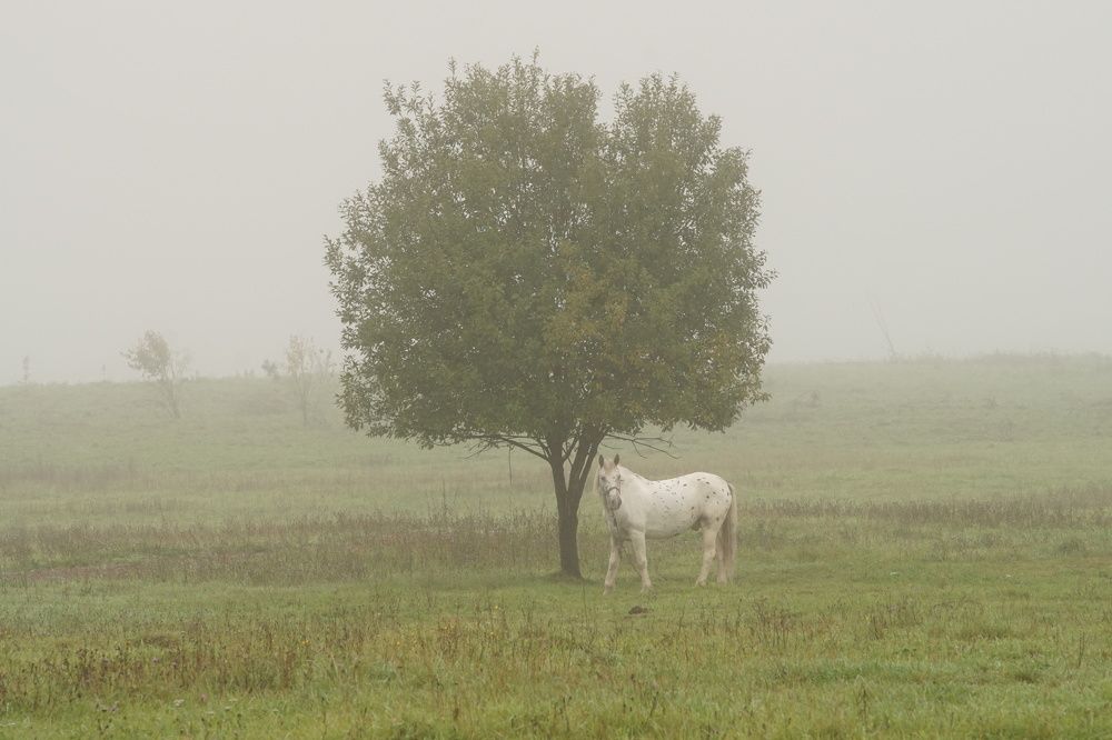 Photograph by Валерий