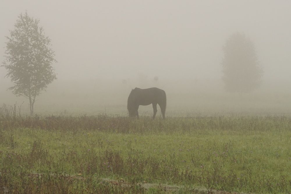 Photograph by Валерий