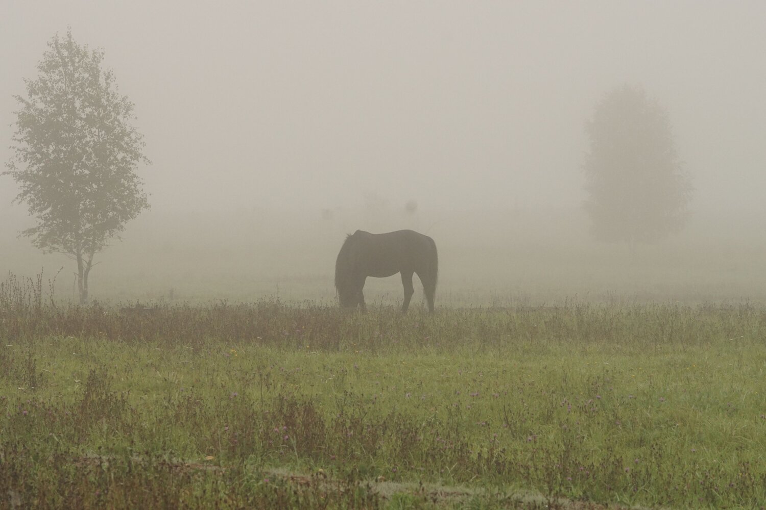 Photo #6680097