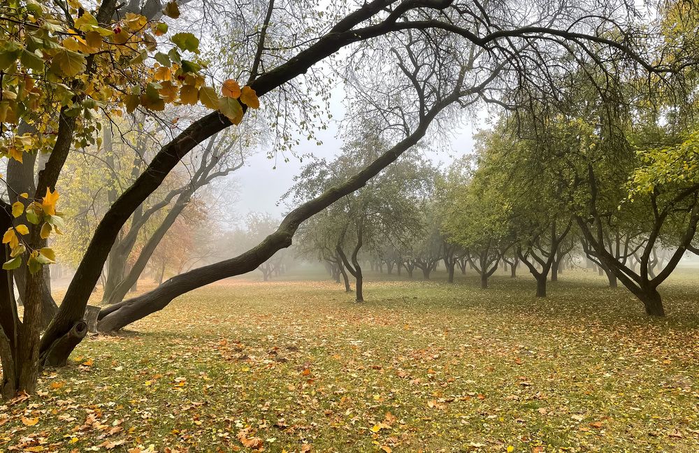 Photograph by Леонид Положевец