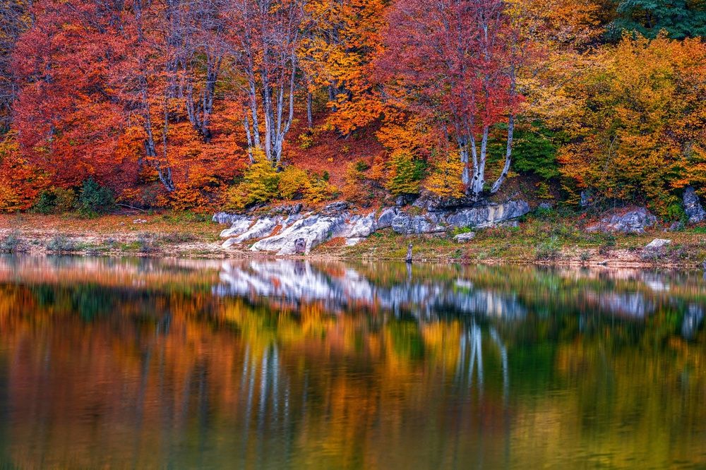 Фотография автора George Kurashvili