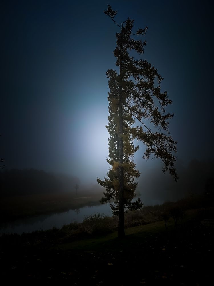 Photograph by Леонид Положевец