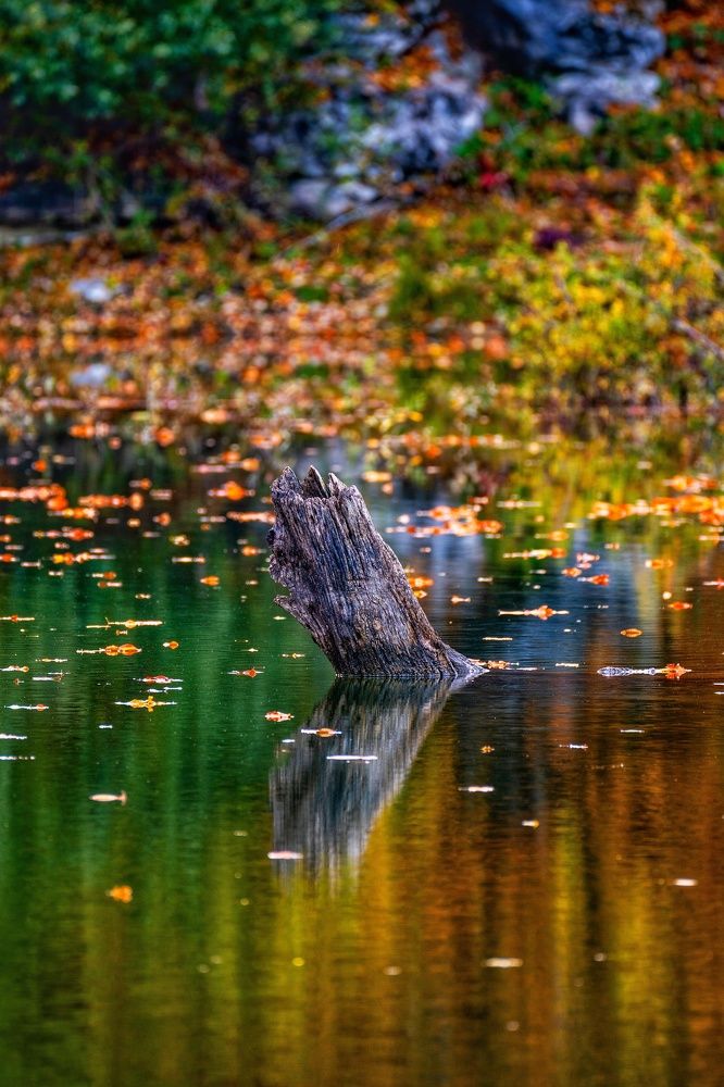 Фотография автора George Kurashvili