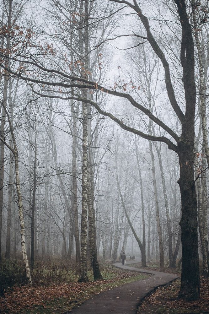 Photograph by Наталья Чернавина