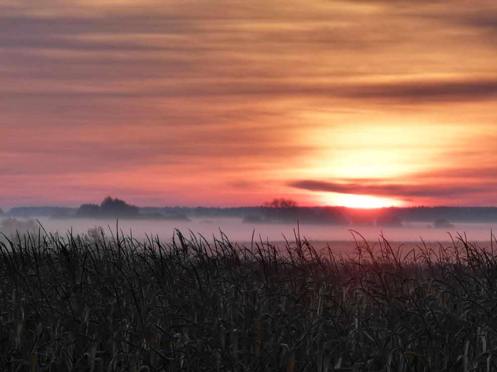 Photograph by Алексей Тарасов