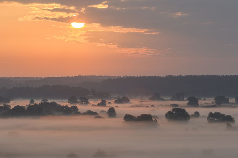 Photograph by Сергей Алексеев