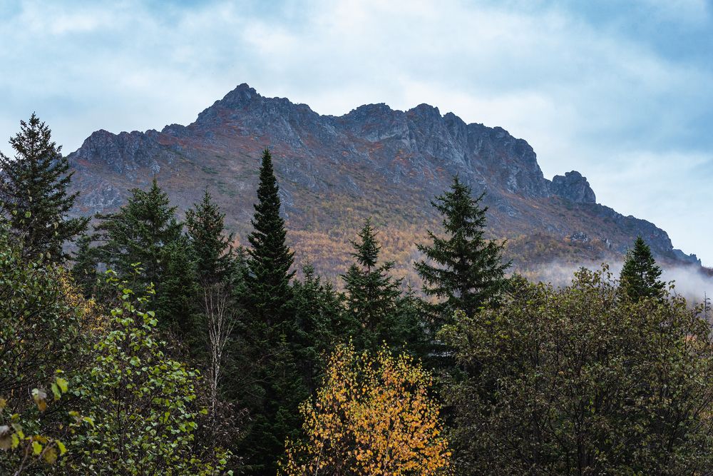 Photograph by Огурцов Алексей