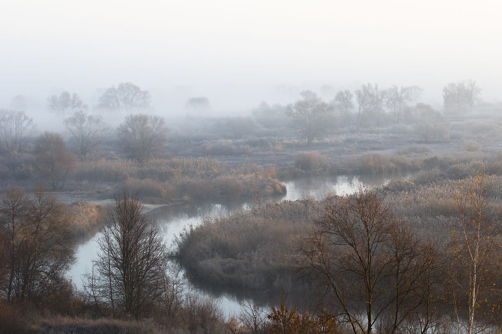 Photograph by Сергей Алексеев