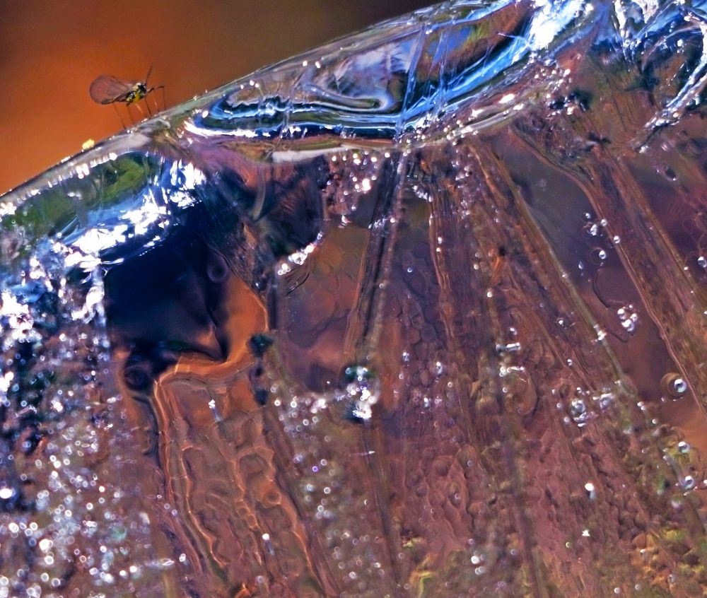Photograph by Александр Пузиков