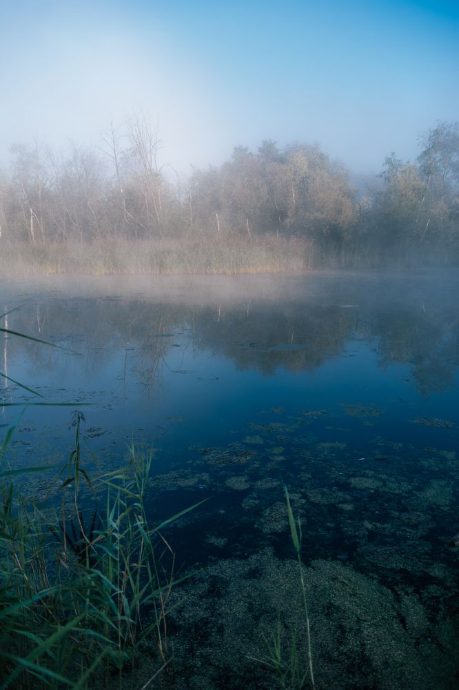 Photograph by Екатерина Устьянцева