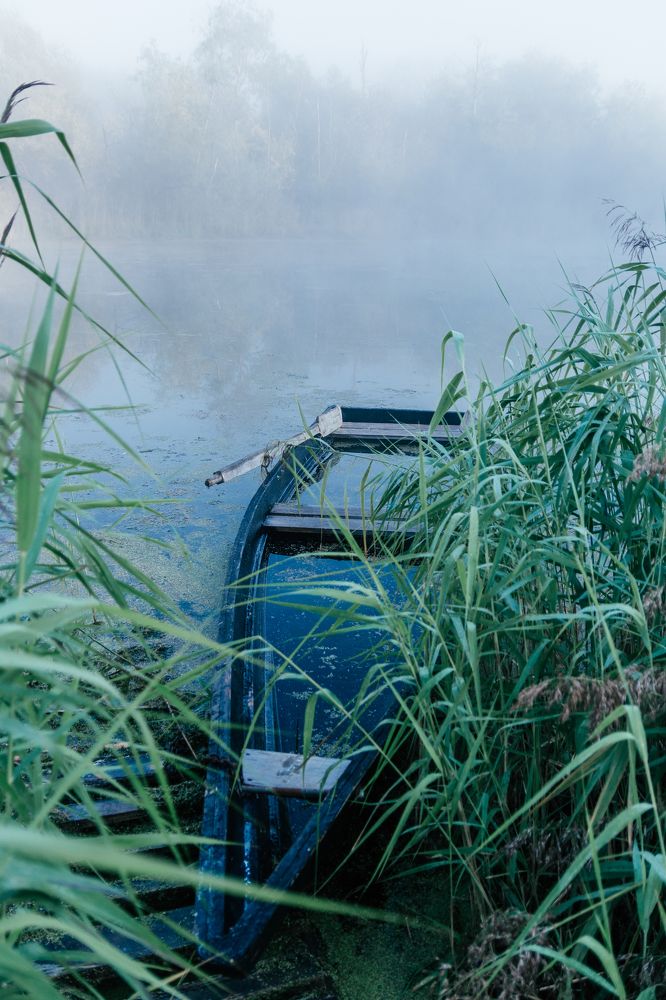 Photograph by Екатерина Устьянцева