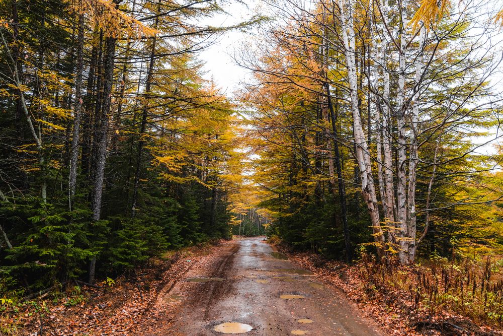 Photograph by Огурцов Алексей