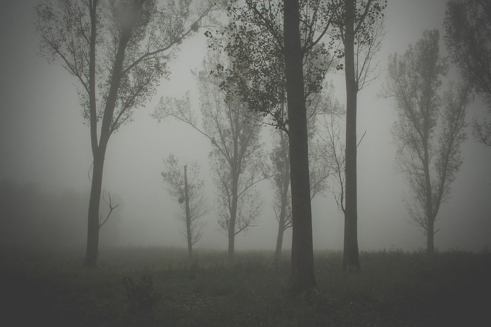 Photograph by Анна