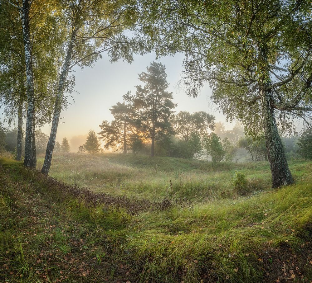 Photograph by Николай Андреев