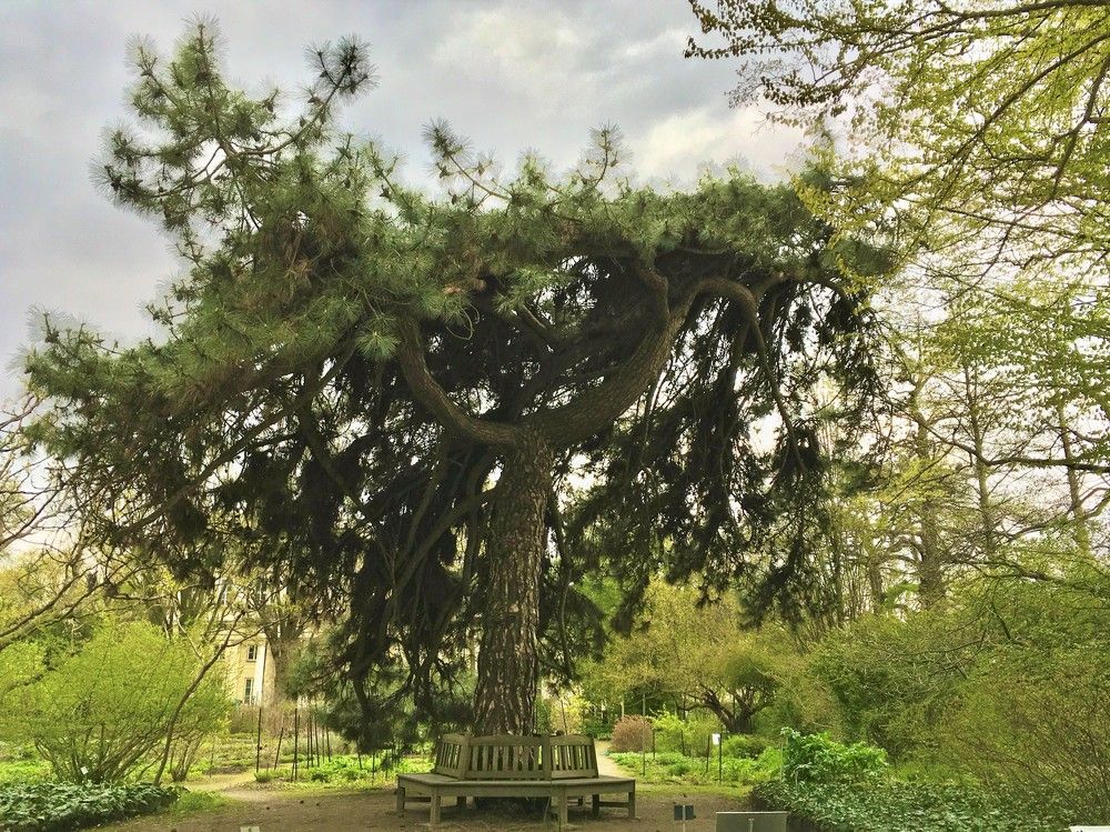 Photograph by Viktoriia Shtefanesa