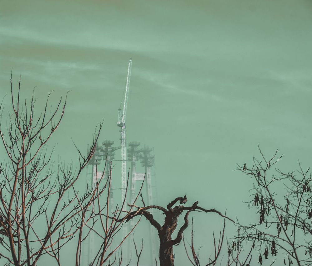 Photograph by Евгений