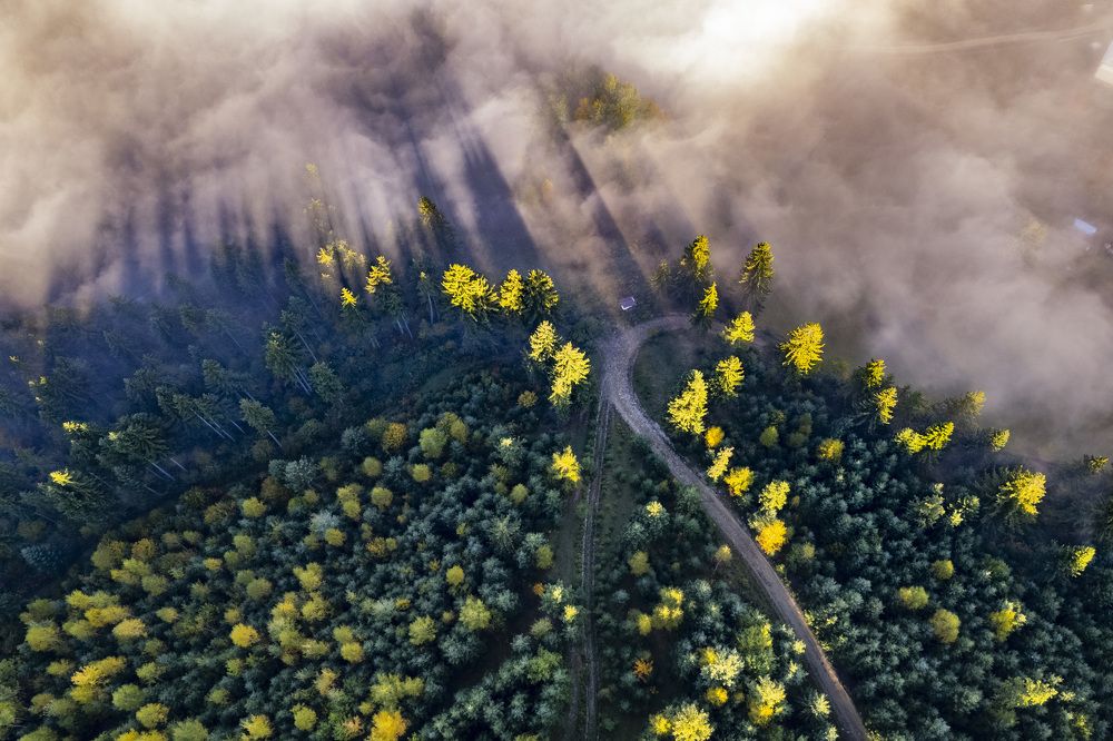 Photograph by Максим Попельнюх