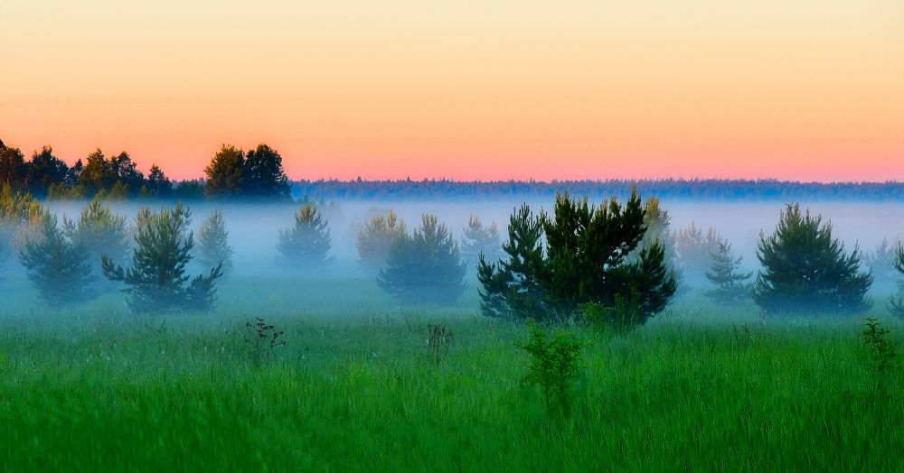 Photograph by Margarita