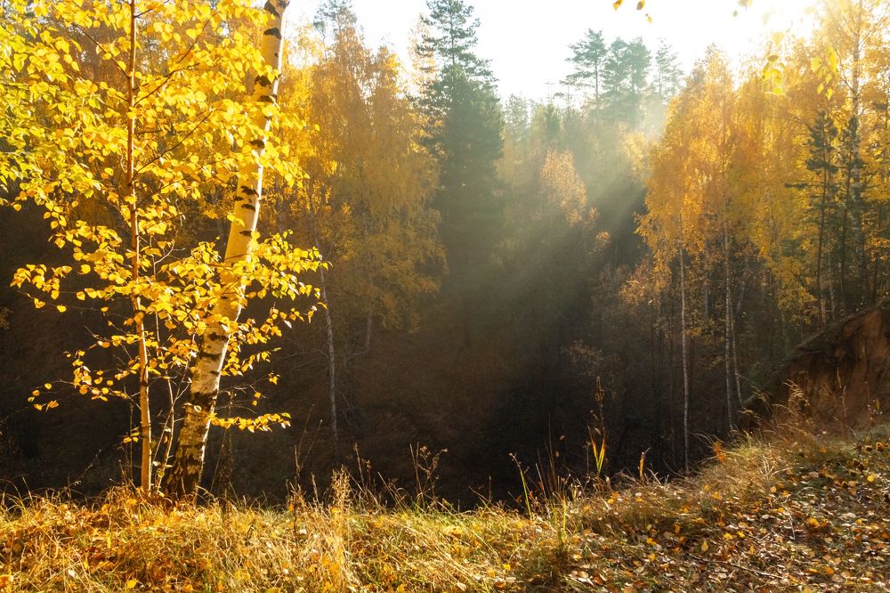 Photograph by Алексей