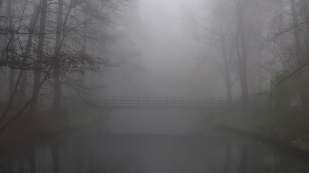 Photograph by Игорь Криулин