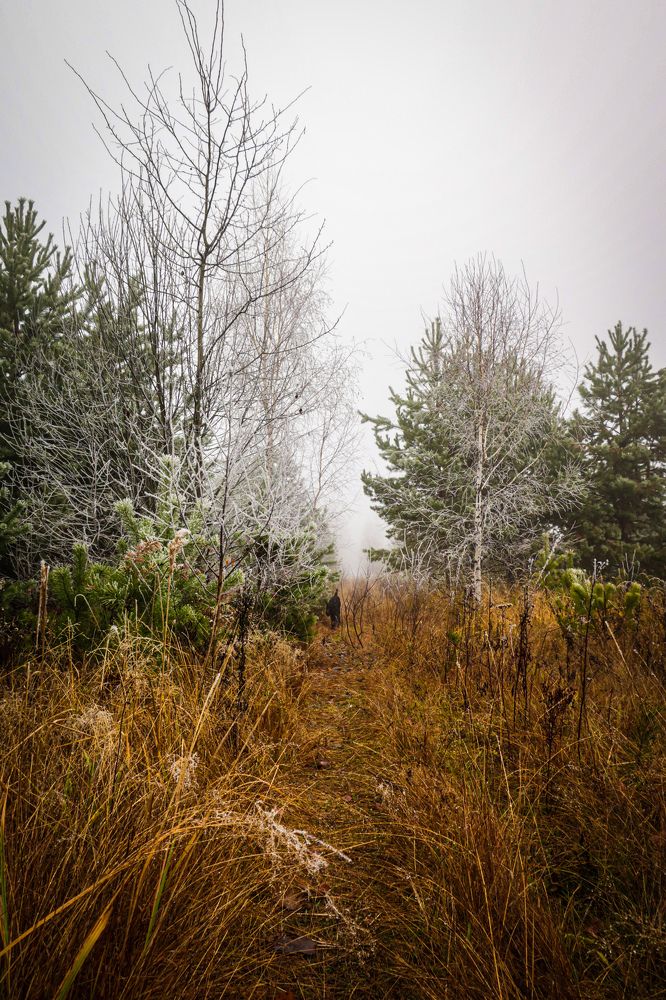 Photograph by Владимир Коновалов