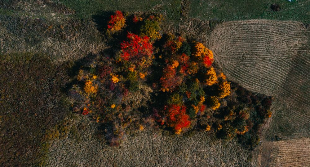 Photograph by Ernest Mazarekić