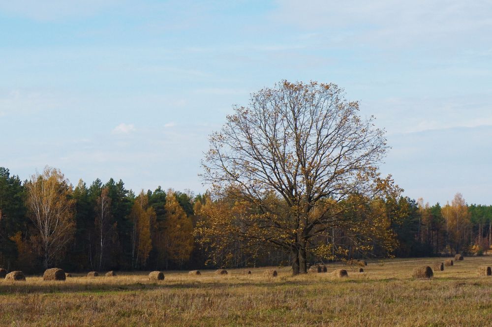 Photograph by Andreas Koff