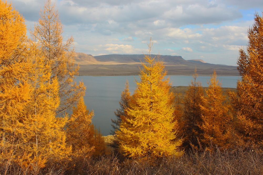 В лучах осеннего солнышка.