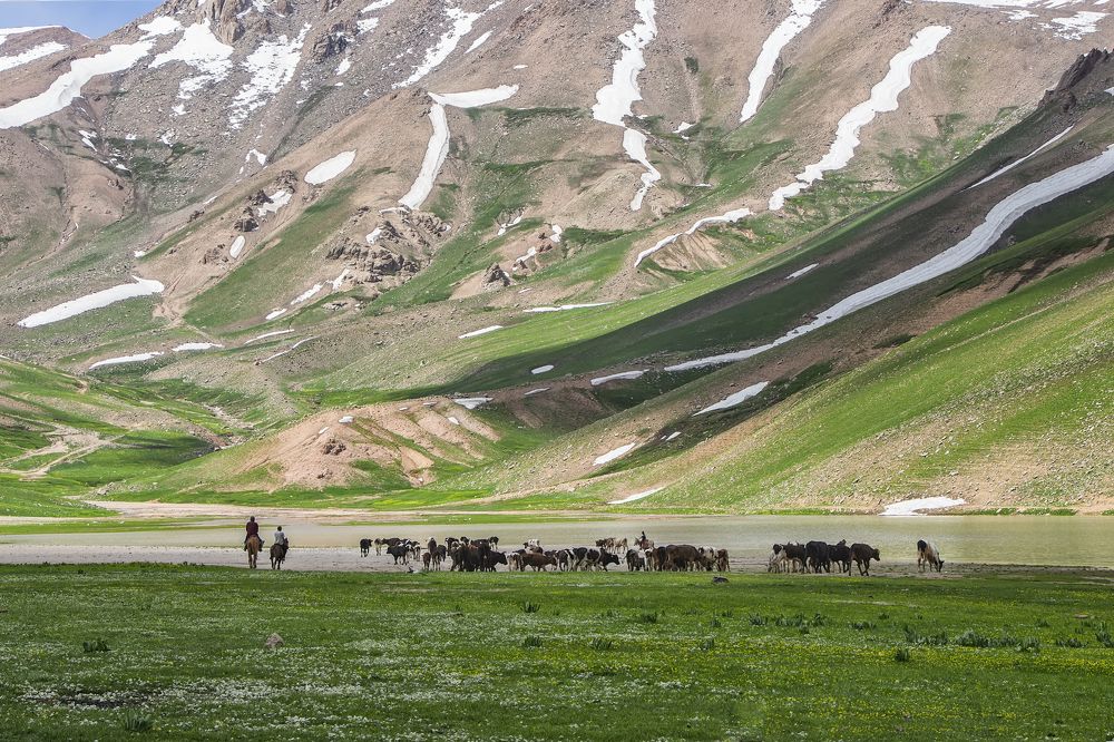 Photograph by Чунина Наталья