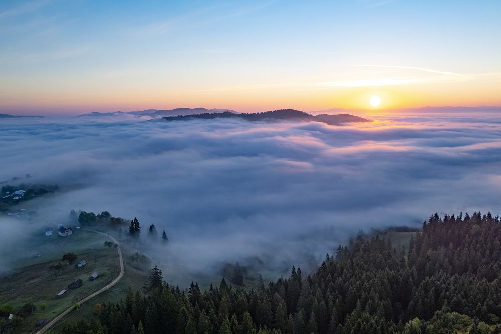 Photograph by Максим Попельнюх