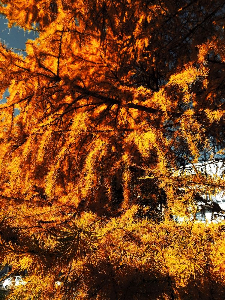 Photograph by Сергей Антонов