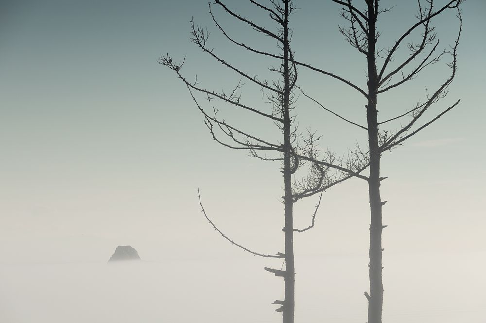 Фотография автора Лариса Кисурина