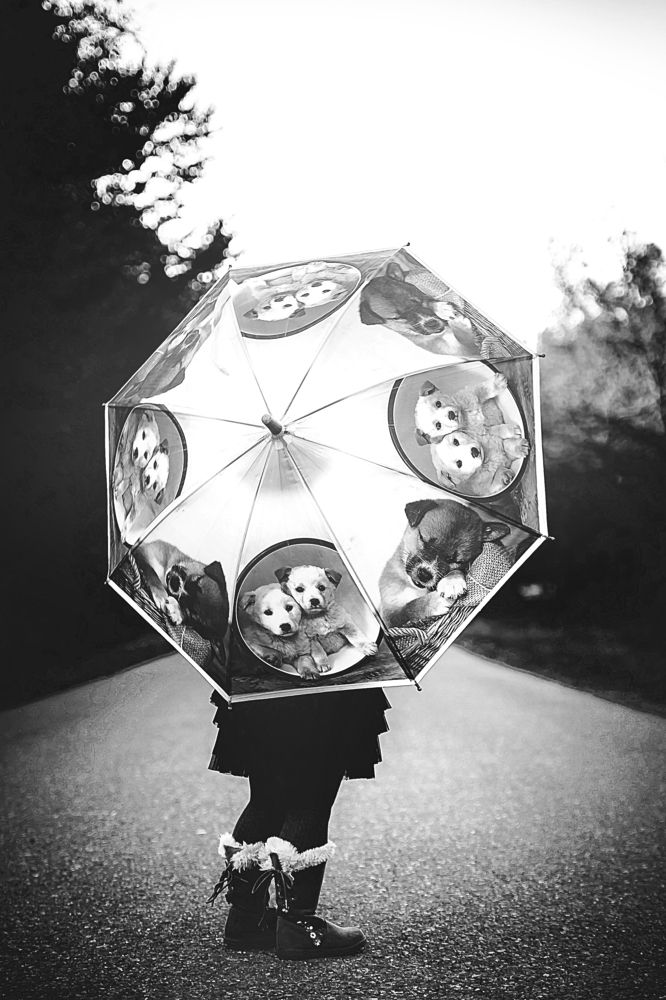 Photograph by Vlad-Ionut Tinc