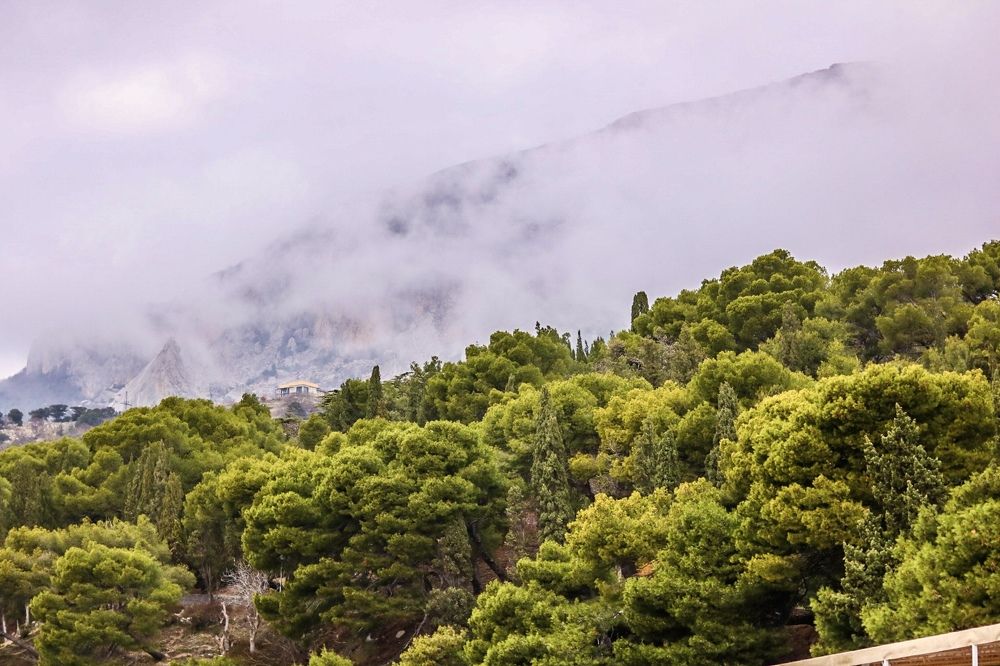 Photograph by Елена Ковалева