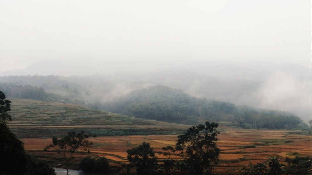 Photograph by Dương Nguyễn