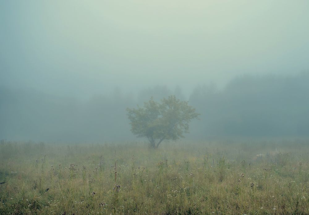 Photograph by Ксения Казырицкая