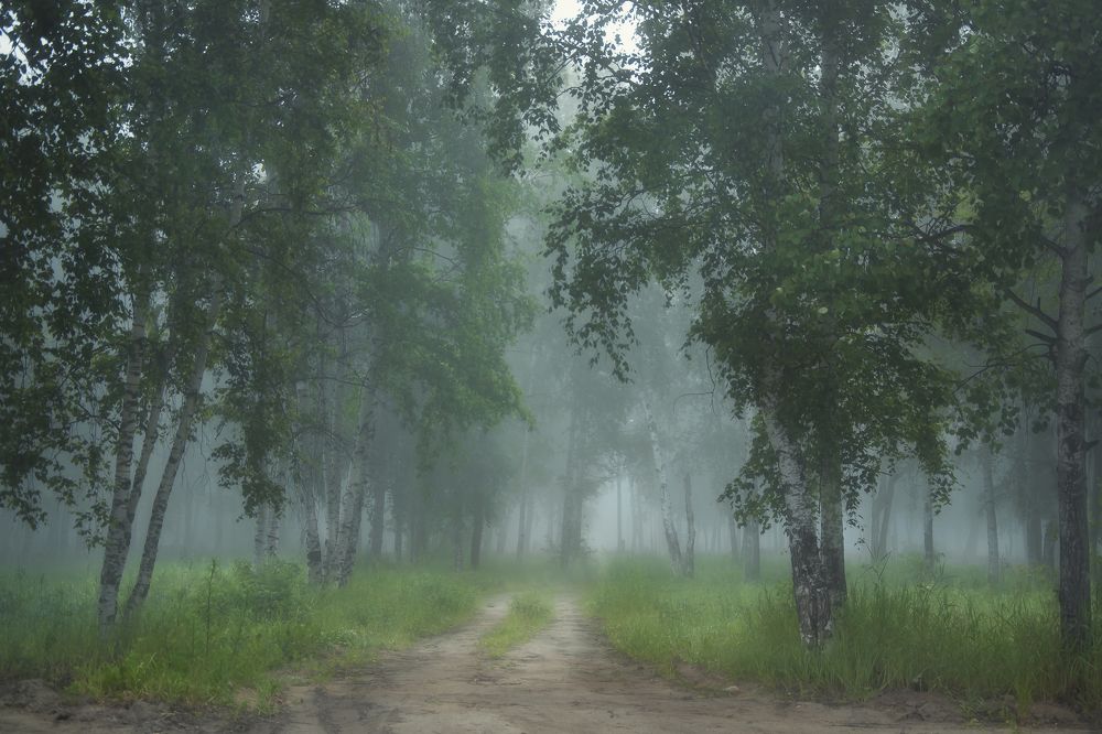 Photograph by Ксения Казырицкая