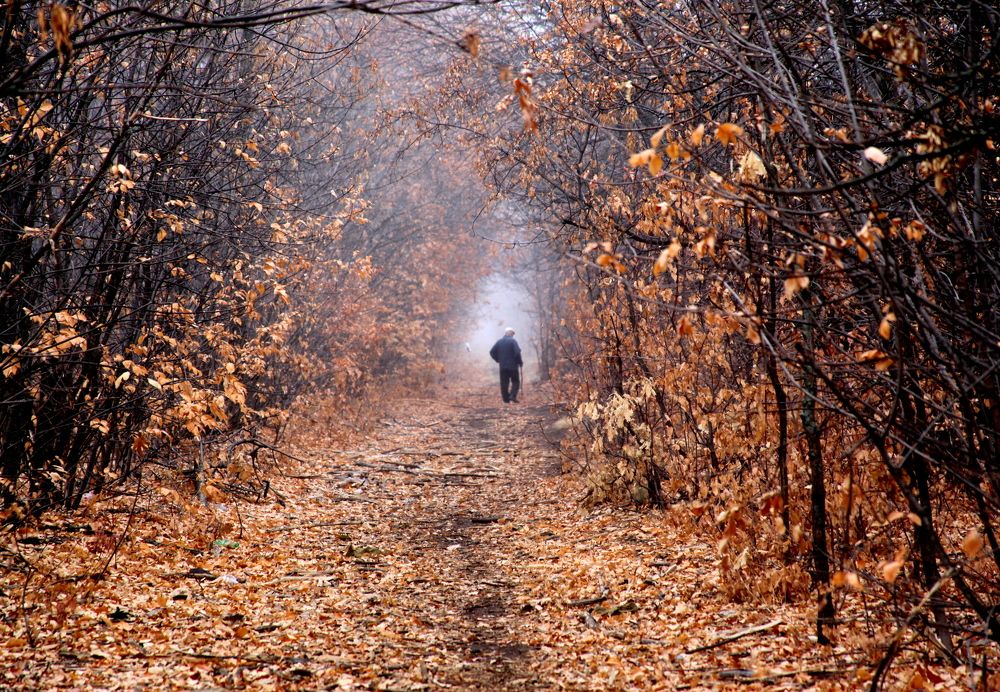 Photograph by Жанна Валиева