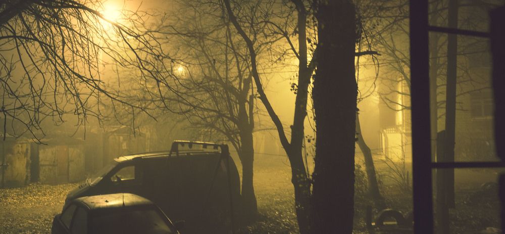 Photograph by Евгений Мериакре