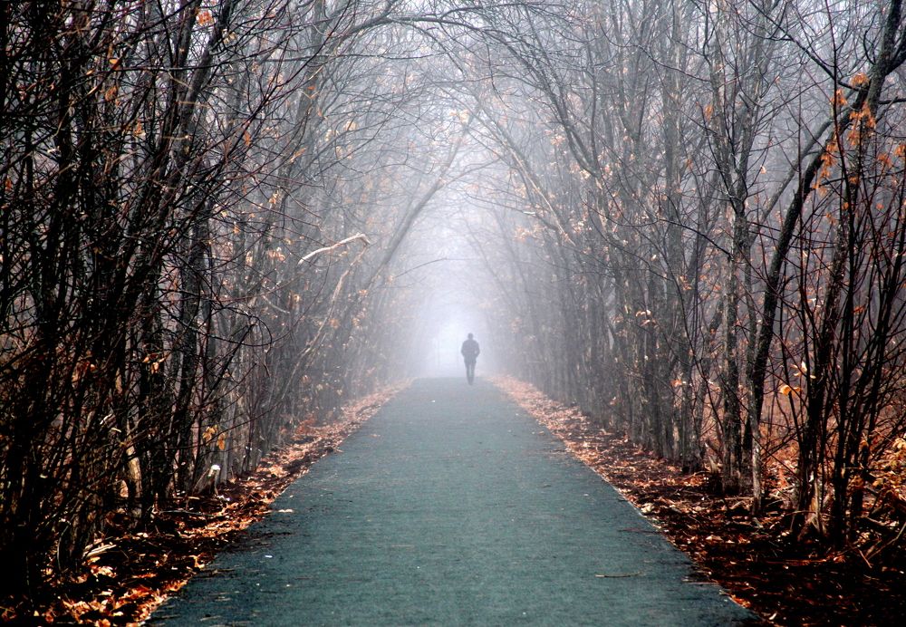 Photograph by Жанна Валиева