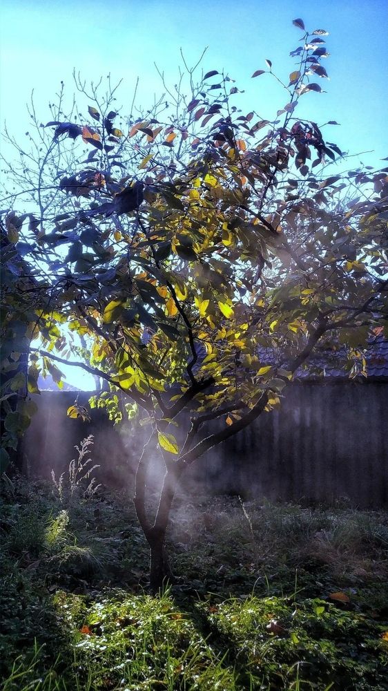 Photograph by Наталья Котяй