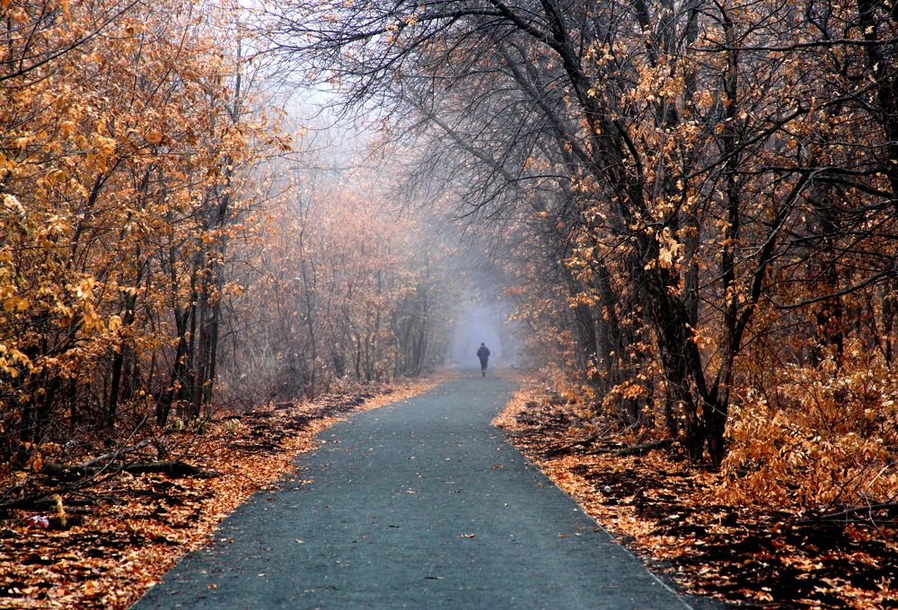 Photograph by Жанна Валиева
