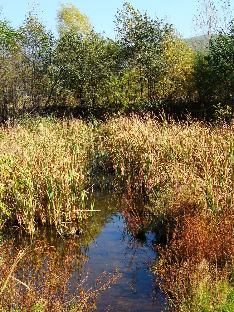 Фотография автора АЛЕКСАНДР ЦЫГЕЛЬНЮК